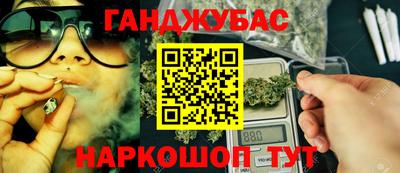 гашик Будённовск