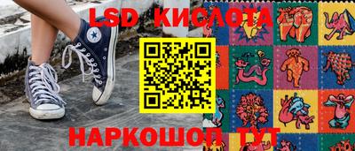 гашик Будённовск
