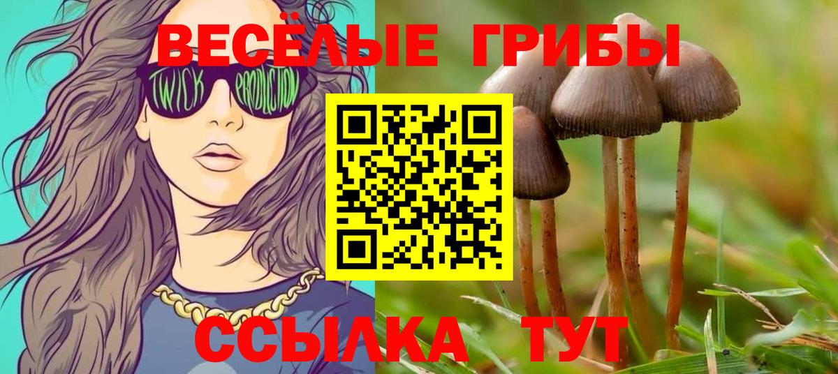 Галлюциногенные грибы Psilocybine cubensis  Вход с VPN  Северск 
